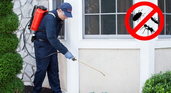 Zonguldak Gümüşkurt İlaçlama böcek ilaçlama ve haşere kontrolü — ilaclama-tr.com